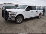Ford F-150 Xlt 1FTFW1EF4FKE31191 снимка