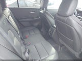 Miniaturka zdjęcia 8