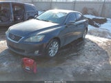 Miniaturka zdjęcia 2