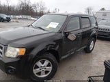 Ford Escape 1FMCU0C73AKC15724 fotografie