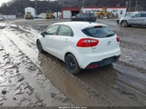 Miniaturka zdjęcia 3