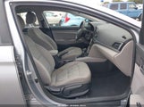 Miniaturka zdjęcia 5