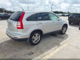 Honda Cr-V Ex-L 5J6RE3H76AL024311 fotografie