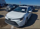 Miniaturka zdjęcia 2