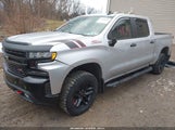 Chevrolet Silverado  4Wd Short Bed Lt Trail Boss 3GCPYFED3LG329622 снимка