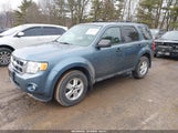 Ford Escape Xlt 1FMCU9D72BKB71249 снимка