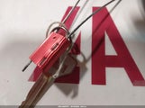 Miniaturka zdjęcia 11