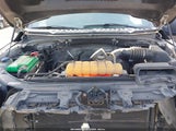 Ford F-150 Xlt 1FTEW1EF3GKE16498 снимка
