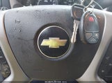 Miniaturka zdjęcia 11