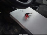Miniaturka zdjęcia 11