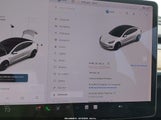 Miniaturka zdjęcia 7