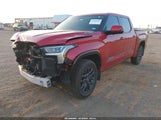 Toyota Tundra Hybrid Platinum Hybrid Crewmax 5.5' Bed 5TFNC5DB7SX102749 fotografie