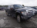 Ford F-150 Xlt 1FTFW1EF5EFC83995 снимка