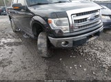 Ford F-150 Xlt 1FTFW1EF5EFC83995 снимка