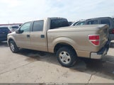 Ford F-150 Xlt 1FTFW1CF7DFE08366 снимка
