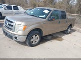 Ford F-150 Xlt 1FTFW1CF7DFE08366 снимка