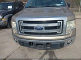 Ford F-150 Xlt 1FTFW1CF7DFE08366 снимка