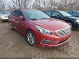 Hyundai Sonata Se 5NPE24AF8FH110347 снимка