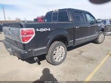 Ford F-150 Platinum 1FTFW1ET5BFA60485 снимка
