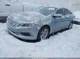 Hyundai Sonata 5NPE24AF7HH567461 снимка
