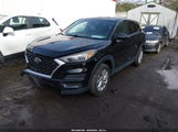 Miniaturka zdjęcia 2