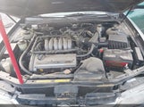 Nissan Maxima Gle/Gxe/Se JN1CA21DXVT831618 photo