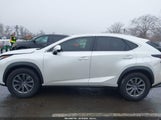 Lexus Nx 300 JTJBARBZ6J2161641 снимка