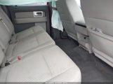 Ford F-150 Fx4/Harley-Davidson/King Ranch/Lariat/Platinum/Xl/Xlt 1FTFW1EV2AFC21262 fotografie