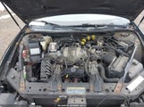 Miniaturka zdjęcia 10