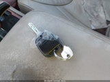 Miniaturka zdjęcia 11