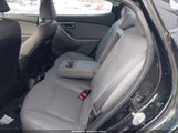 Miniaturka zdjęcia 8