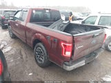 Miniaturka zdjęcia 3