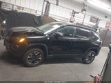 Jeep Compass Trailhawk 4X4 3C4NJDDBXJT207344 снимка
