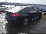 Hyundai Sonata Sport 5NPE34AF1FH036511 photo