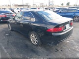 Acura Tsx JH4CL96876C002792 снимка