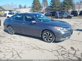 Honda Accord Ex-L 1HGCR2F85GA013702 снимка