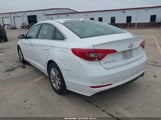 Hyundai Sonata 5NPE24AF2HH534108 снимка