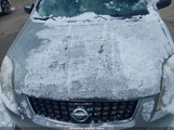Nissan Sentra 2.0S 3N1AB61E59L646178 снимка