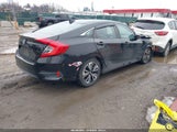 Honda Civic Ex-L 19XFC1F71GE213133 снимка