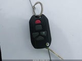 Miniaturka zdjęcia 11