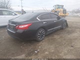 Nissan Altima 2.5/2.5 S/2.5 Sl/2.5 Sr/2.5 Sv 1N4AL3APXGC207731 fotografie