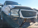 Ford F-150 Lariat/Xlt 1FTRW07L52KD74438 photo
