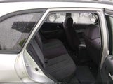 Miniaturka zdjęcia 8