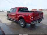 Ford F-150 Xlt 1FTEW1E41KKC03069 снимка
