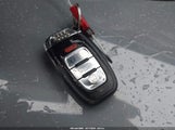 Miniaturka zdjęcia 11