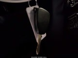 Miniaturka zdjęcia 11