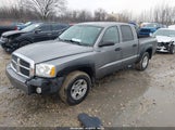 Dodge Dakota Slt 1D7HW48P17S195282 снимка
