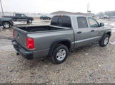 Dodge Dakota Slt 1D7HW48P17S195282 снимка