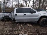 Ford F-150 Xlt 1FTVW1ET3EKE66823 снимка