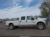 Ford F-350 Xlt 1FT8W3BT0GEA52445 снимка